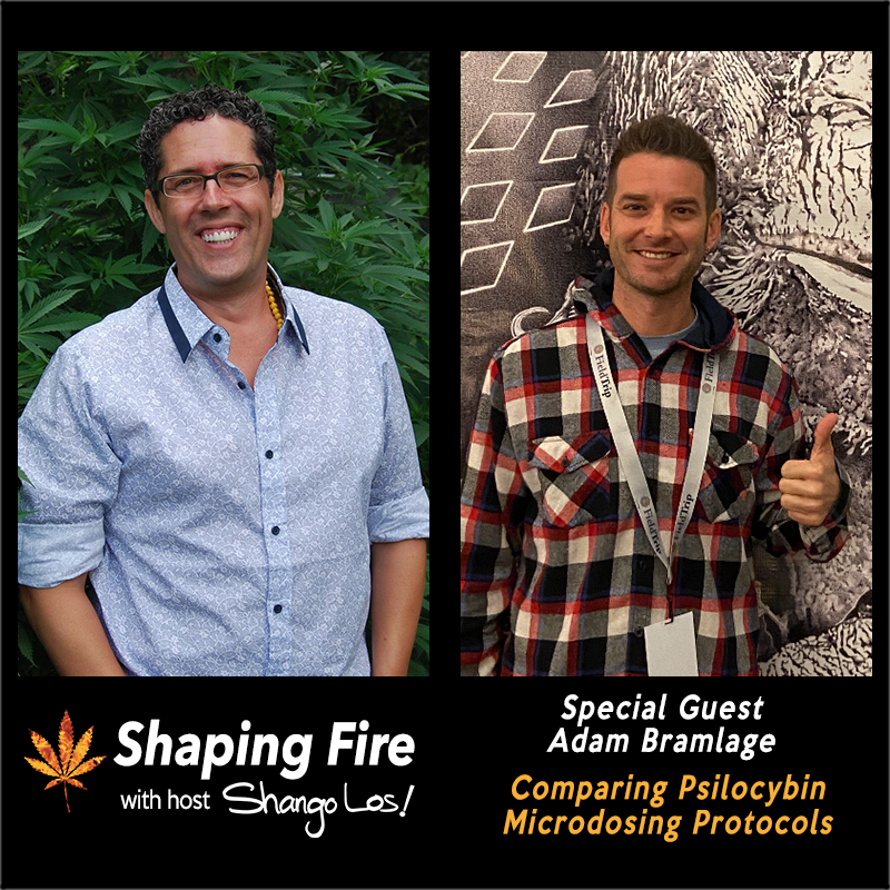 shangolos's tweet image. Shaping Fire host @ShangoLos talks with microdosing coach Adam Bramlage IG: FlowStateMicro to compare microdosing protocols, understand more clearly the differences between doses and how best to explore self-healing safely. ShapingFire.com
