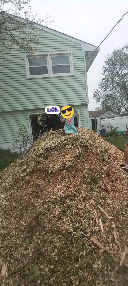 warriorsmurf's tweet photo. We got a #chipdrop yesterday as I was wondering what to do with my afternoon. Pile is taller than me, so at least 5'6", wider than my driveway, and was at least thirty feet long when we started. My neighbors think it's pretty funny! https://t.co/0Dqu3e8hwd