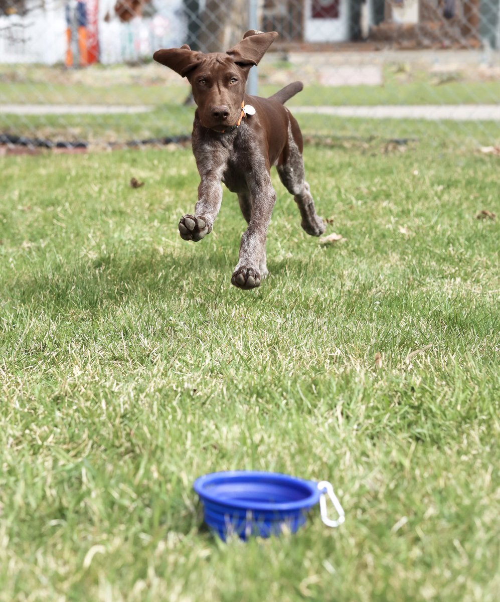 Junkyard Brewing Co. tweet media