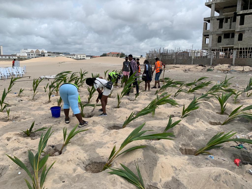 UKinNigeria's tweet image. Had our final lap of #Communitrees planting exercise yesterday at the Oniru &amp;amp; Onijege beaches. It’s been an amazing journey so far, we are glad to have successfully completed this project of planting 2500trees with our partner @Sustyvibes.
 #Nigeria4nature #protecttheenvironment