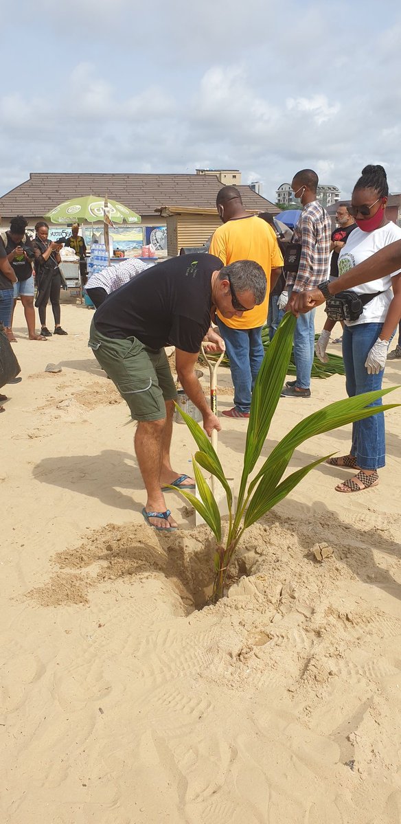 UKinNigeria's tweet image. Had our final lap of #Communitrees planting exercise yesterday at the Oniru &amp;amp; Onijege beaches. It’s been an amazing journey so far, we are glad to have successfully completed this project of planting 2500trees with our partner @Sustyvibes.
 #Nigeria4nature #protecttheenvironment