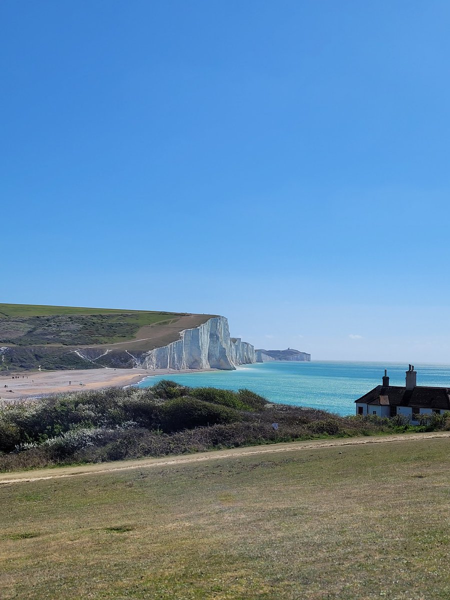 Giles Paley-Phillips tweet media