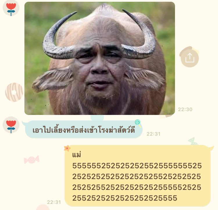 กุสงสารควาย5555525252525252555555252525252525255252525255252555555555