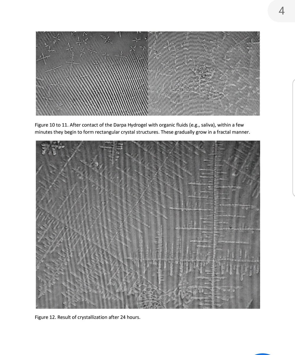 Voilà ce qui se passe une fois que l'hydrogel est placé sur la muqueuse nasale grâce au  #PCR  Une structure artificielle 3D se développe dans les tissus 