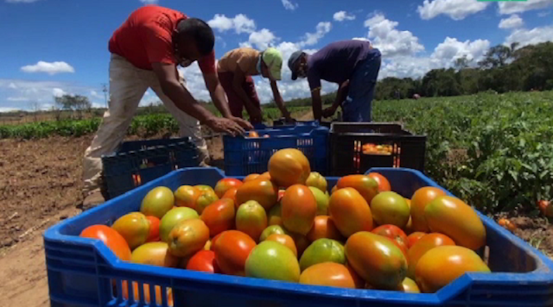 Nueve vértices de la Gran Misión AgroVenezuela construirán el modelo agroeconómico potencia
bit.ly/3tSxOBR
#CuidémonosDeLaCovid