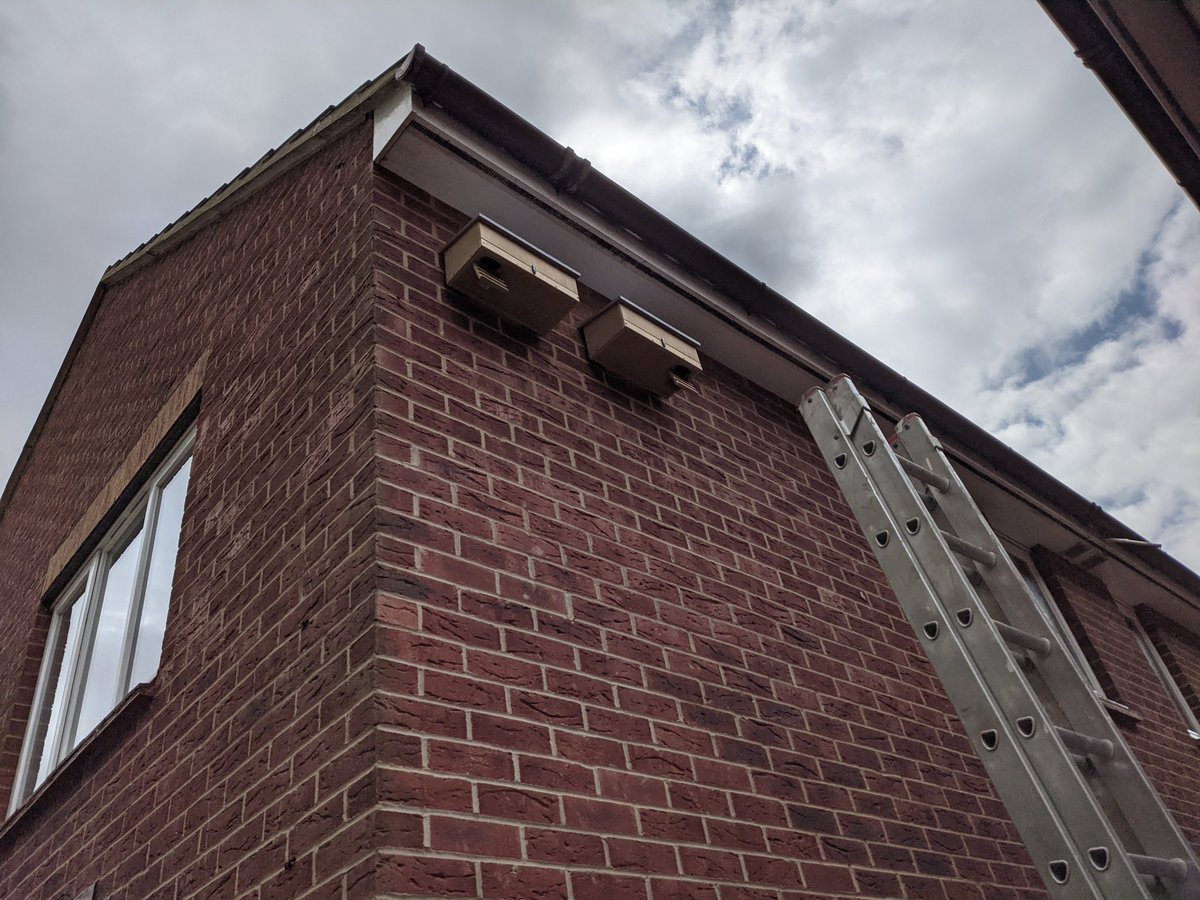Louise Paine (@superloopy101) on Twitter photo <a href="/SoSSwifts/">SaveOurSuffolkSwifts</a> Another 2 swift boxes installed in East Ipswich today. #SaveourSuffolkSwifts #swifts #swiftboxes <a href="/SoSSwifts/">SaveOurSuffolkSwifts</a> Another 2 swift boxes installed in East Ipswich today. #SaveourSuffolkSwifts #swifts #swiftboxes