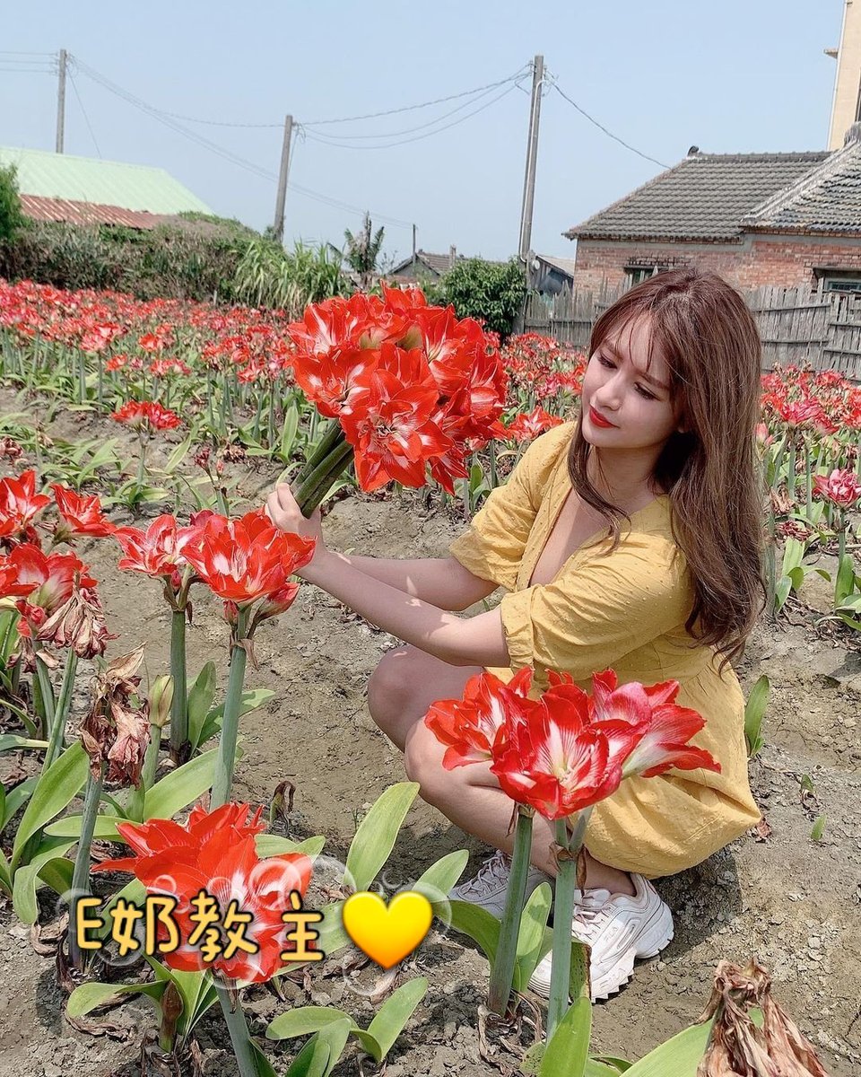 路邊的野花別亂採，因為可能會採到我