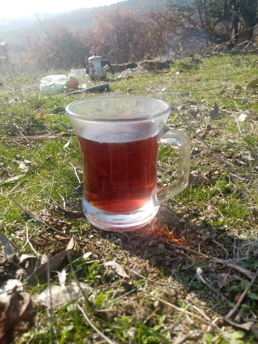 Kırda çay keyfi