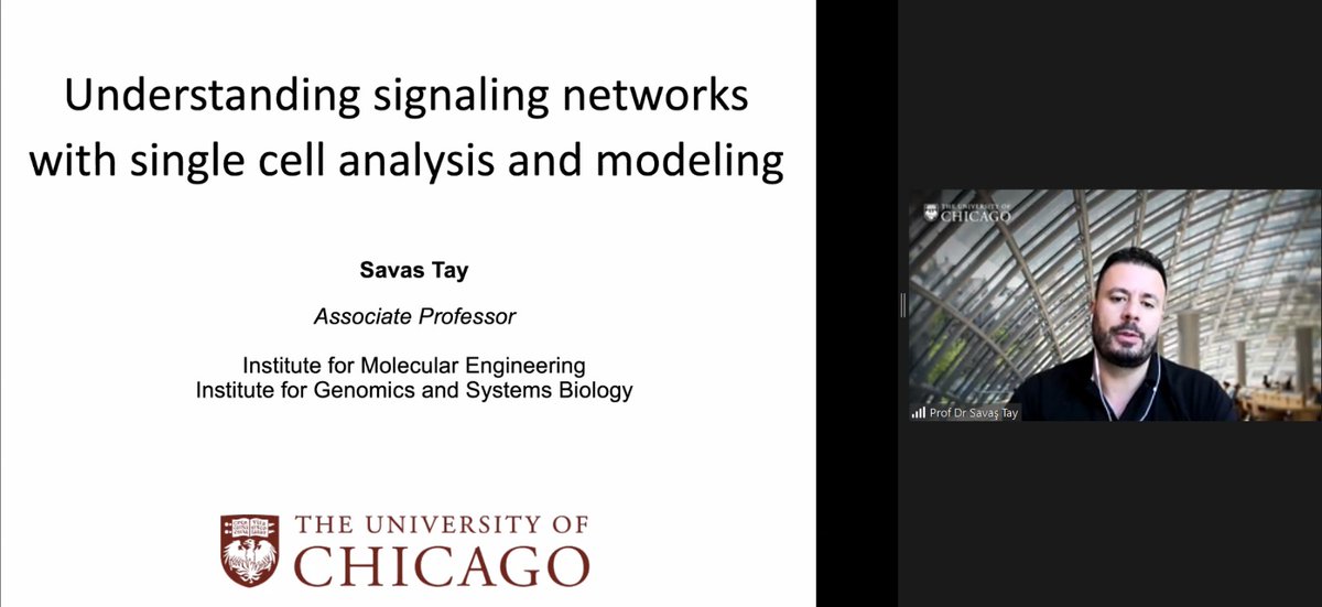 Dr. Savas Tay @SavasTay_UofC is presenting "Understanding Signaling Networks with Single Cell Analysis and Modelling" at SynBio Day'21!