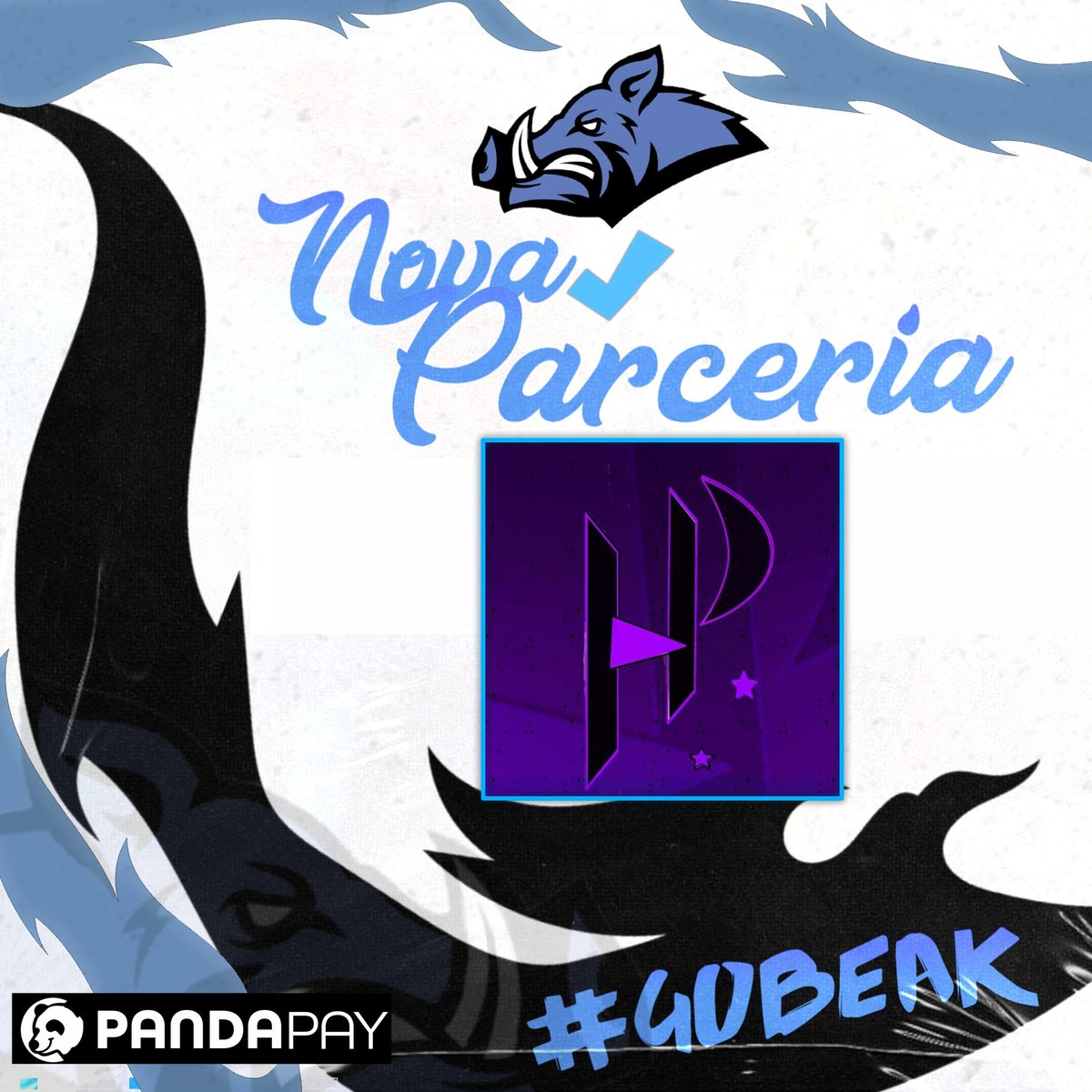 Beak E-Sports tweet media