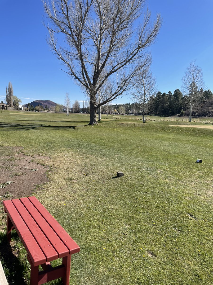 Some shots from the morning walk in <a href="/DiscoverFlg/">Discover Flagstaff</a>