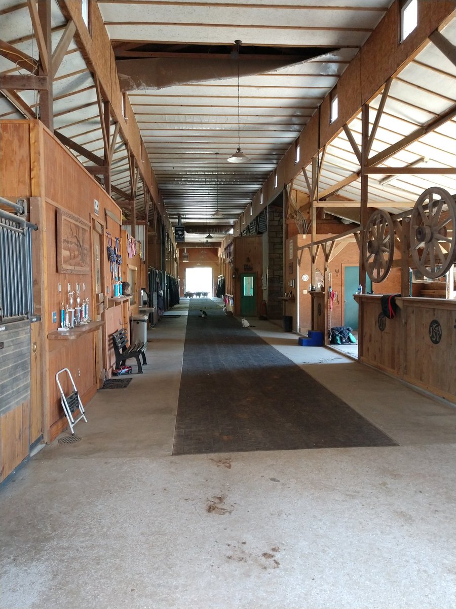 Be_U_Nique00's tweet photo. Spending the morning with these beauties! #horselover #sundayvibes #LoverOfAnimals #Horses https://t.co/e61pVRBIS0