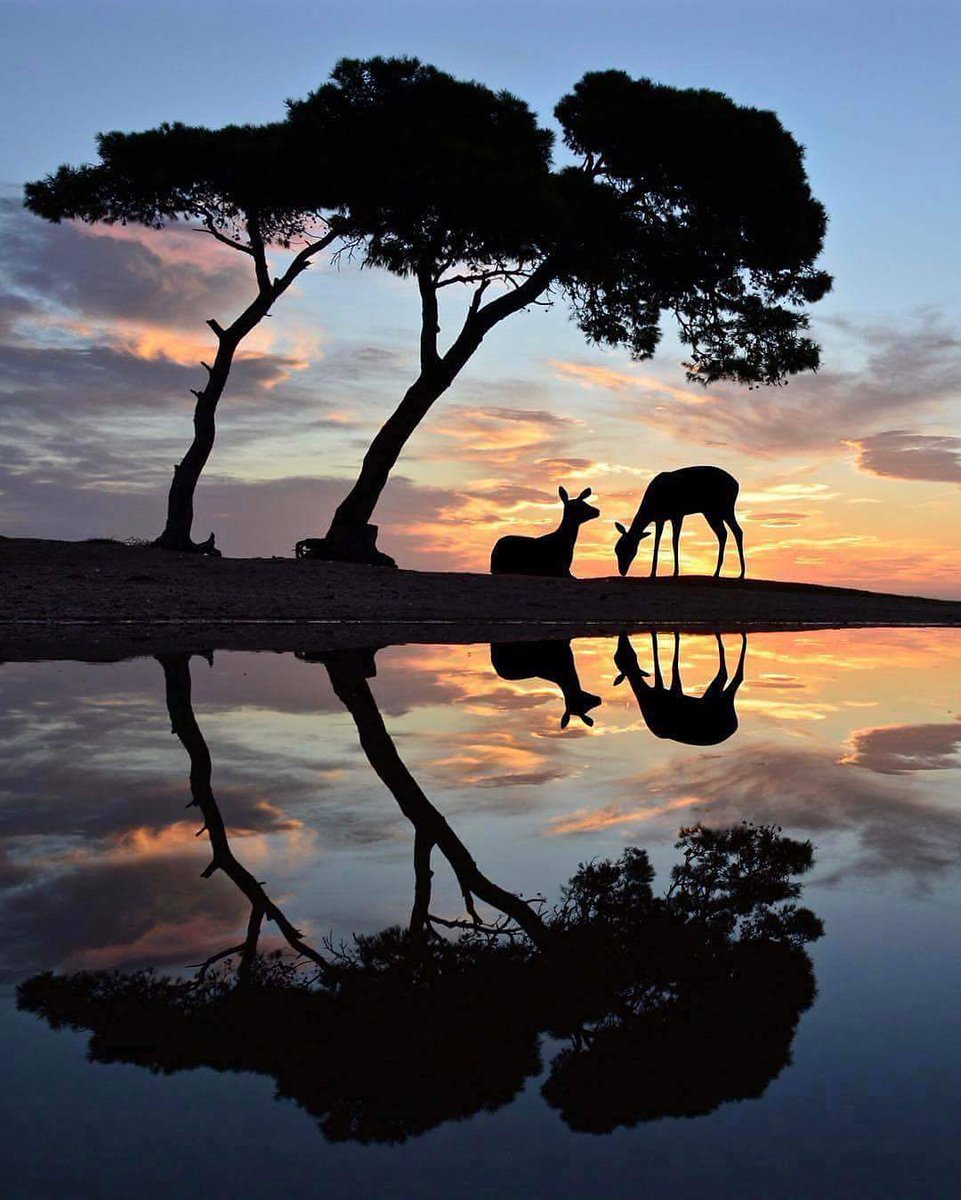 Nice Dream My Dear Arti : It will result in the beginning in arti my