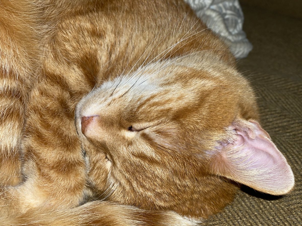 pretty sus tweet media