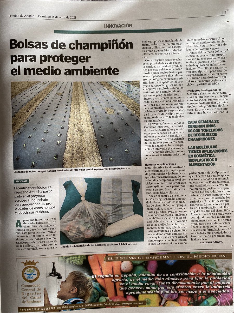 La UE produce hasta 60.000 toneladas de residuos de champiñón. Para reducirlos y aprovechar el montón de propiedades de este hongo, <a href="/aitiip/">Aitiip Centro Tecnológico</a> ha trabajado en un proyecto europeo con socios de 10 países. Os lo cuento en <a href="/heraldoes/">Heraldo de Aragón</a>