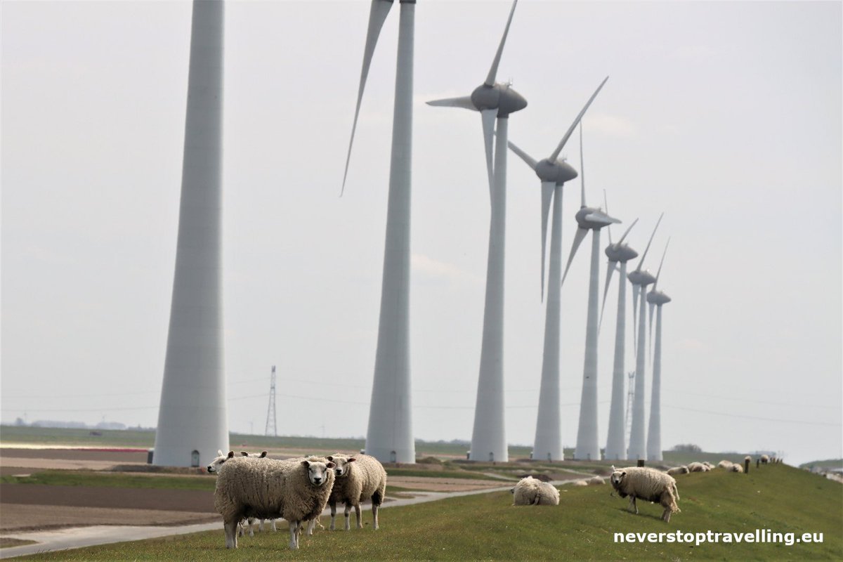 Dagje op de fiets door de #Noordoostpolder nabij #Urk! #Tulpen, wind en #windmolens 😄🌏🌍 <a href="/RuudvanEmpel/">Ruud van Empel</a> <a href="/Jverdegaalcoach/">J Verdegaal coaching</a> #Reisspecialist #reisbureau #Bergeijk #Eersel
