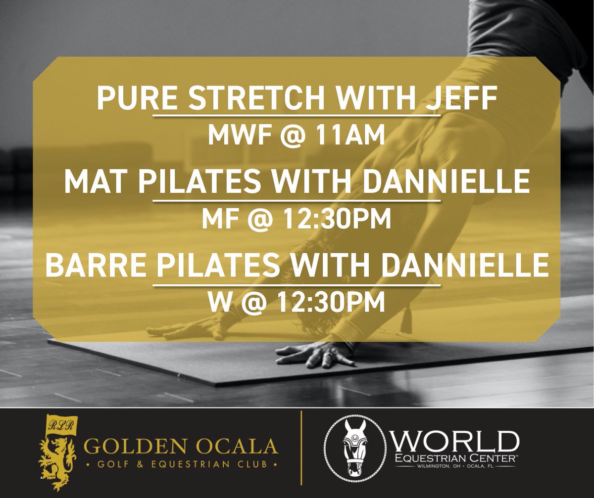 Golden Ocala tweet media