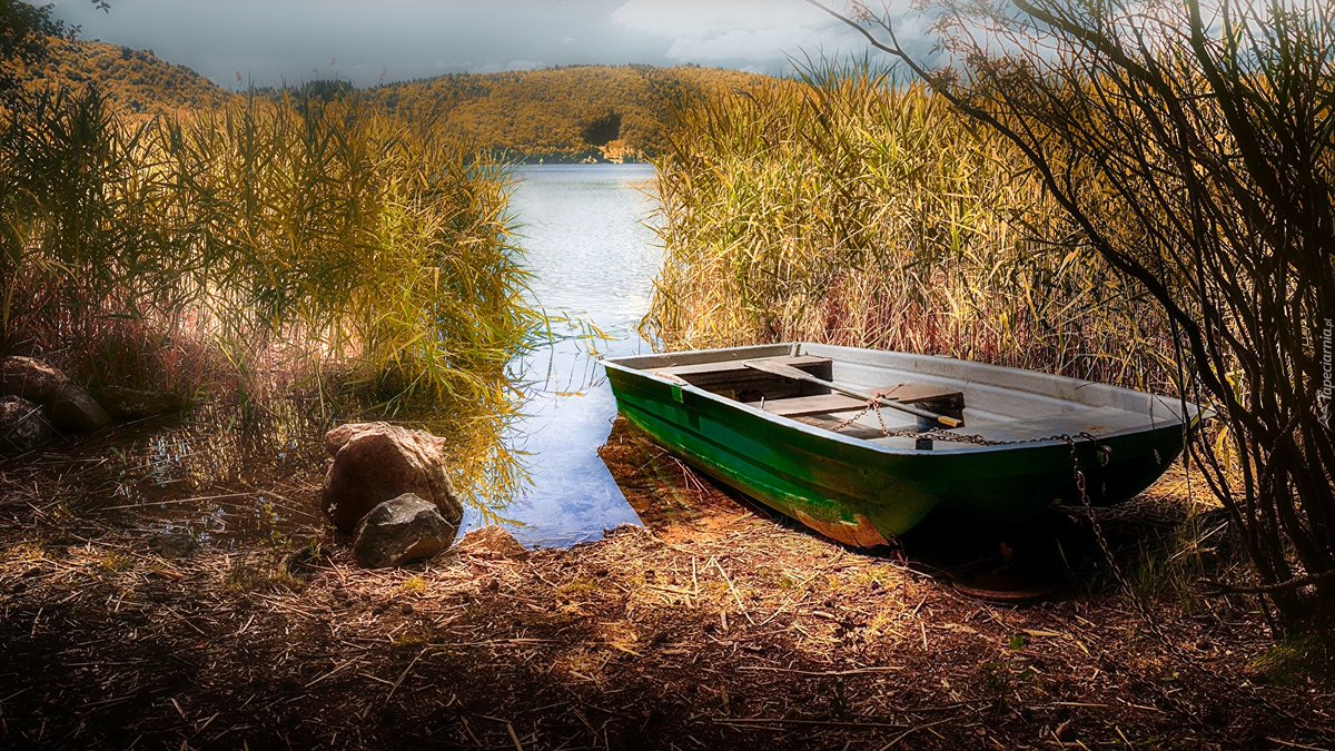 Можно ли на лодке на озере. Лодка. Лодка в камышах. Лодка на озере. Лодка у берега.