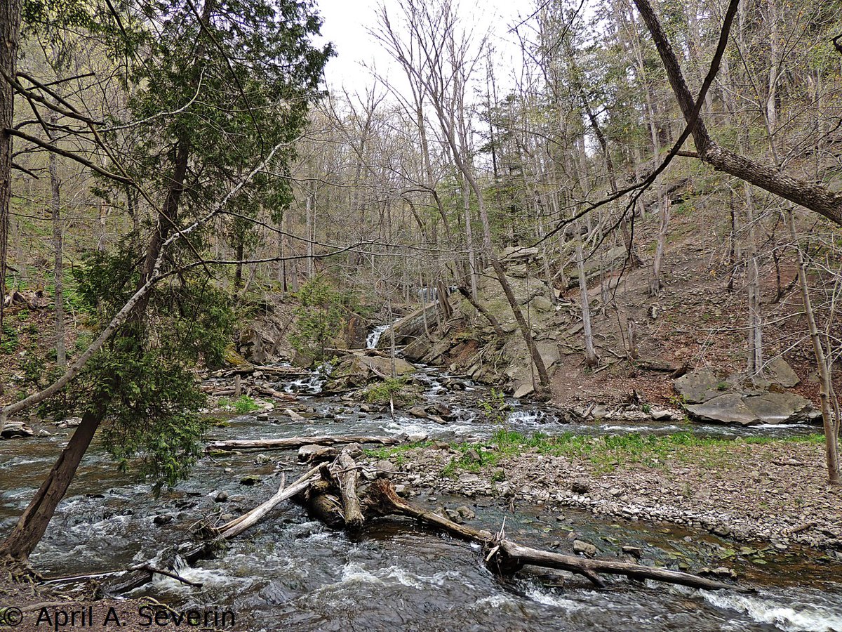 AprilAnne2014's tweet photo. π·#ScenerySunday 5/8/16 #SpencerGorge #HCA #HamOnt #Canada #NorthAmerica #EscarpmentBrow
#HamiltonConservationAuthority #green #nature #spring #photography #CanadianPhotography https://t.co/FLdg69Oqyi