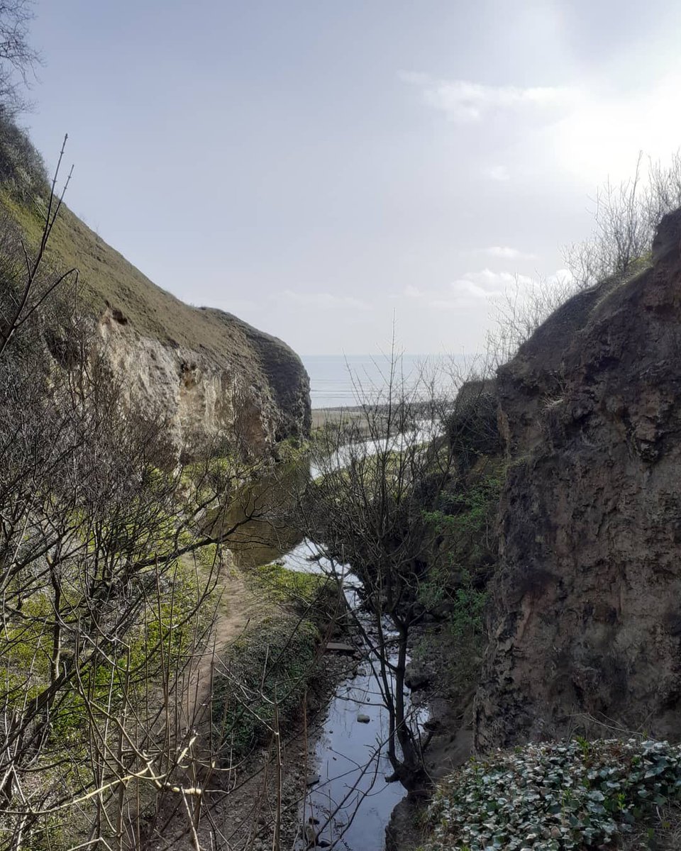 Adetunji Otemade tweet media