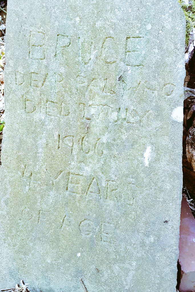 neilbuttery's tweet photo. Spotted a pet cemetery in @HighfieldCP_Lev today! How bizarre.
At least I'm assuming it's a PET cemetery!
#RIPBertha
#RIPBruce
#RIPMaxie
#levenshulme https://t.co/eVsRzdu4Jo