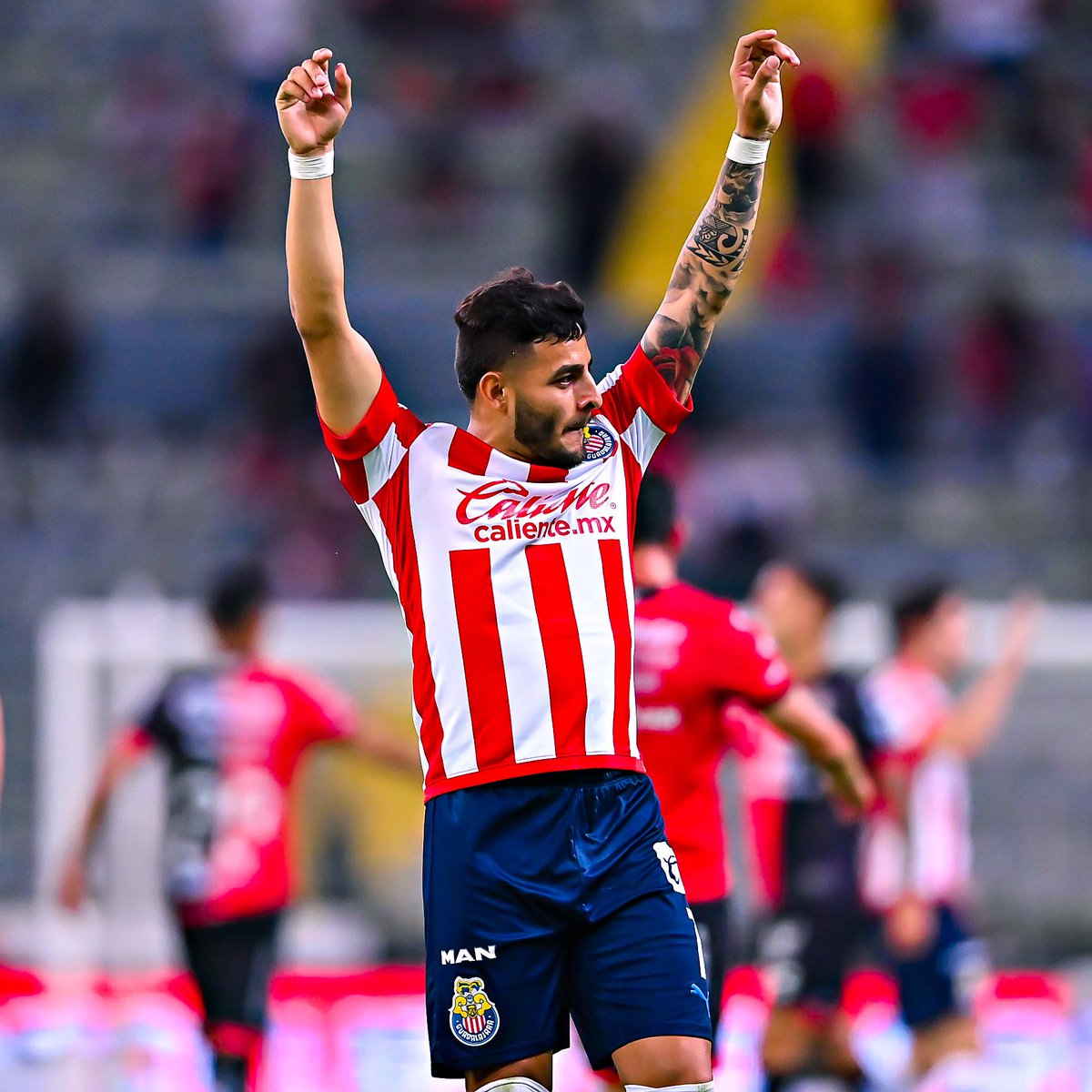 Jersey Conmemorativo Playera Chivas 115 Jersey Conmemorativo