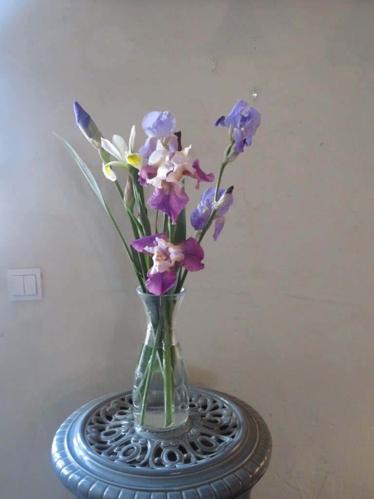 Irises from the garden.