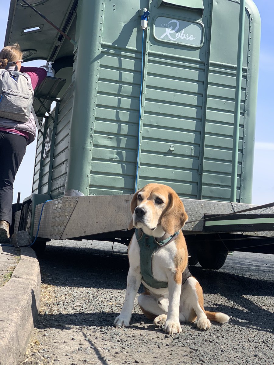 Jen Scotney tweet media