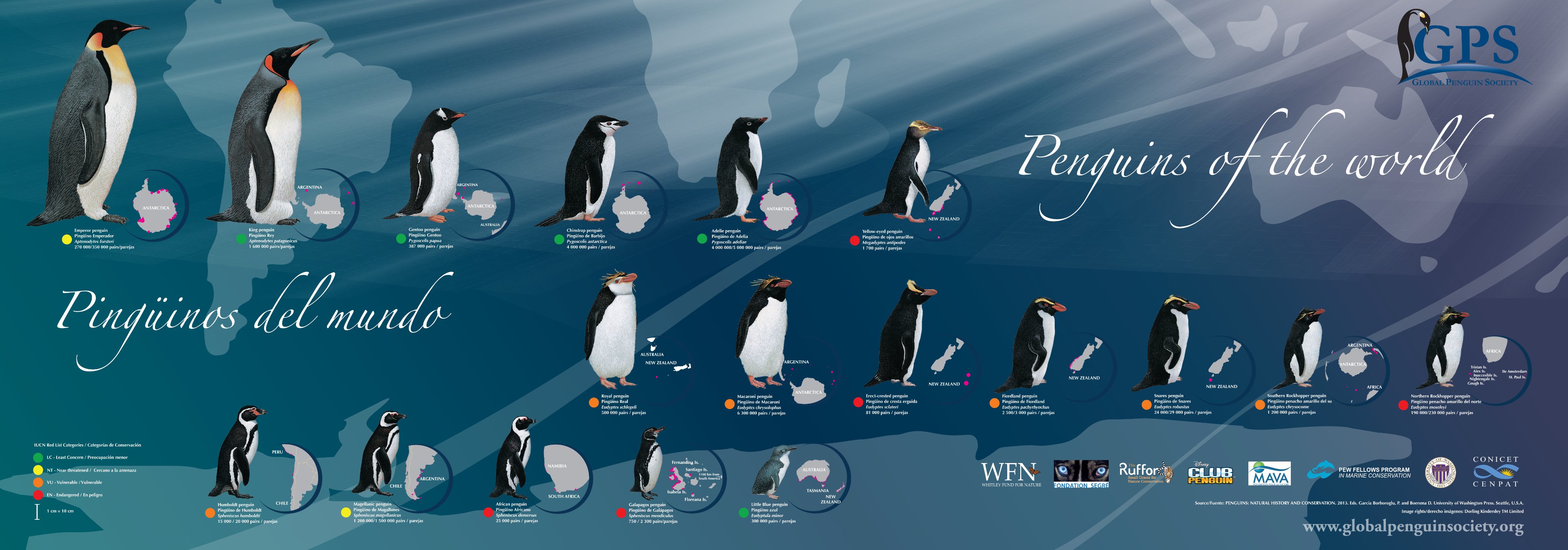 GLOBAL PENGUIN SOCIETY on Twitter "Happy WorldPenguinDay! A date to raise awareness about the