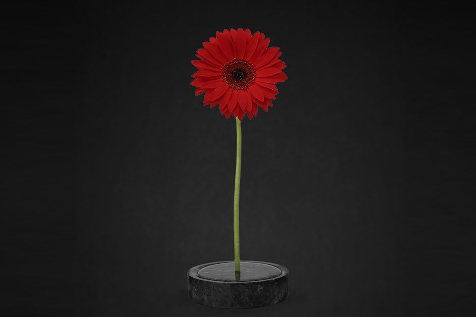 Don’t let Mother’s Day sneak up on you! The innovative Solo Vase (for only $39.99) is one of our favorite gifts for mom this year: solovase.com
