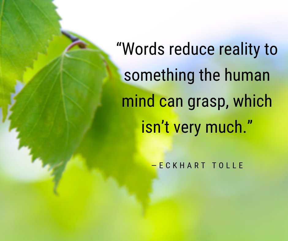 EckhartTolle's tweet image. “Words reduce reality to something the human mind can grasp, which isn’t very much.” - Eckhart Tolle