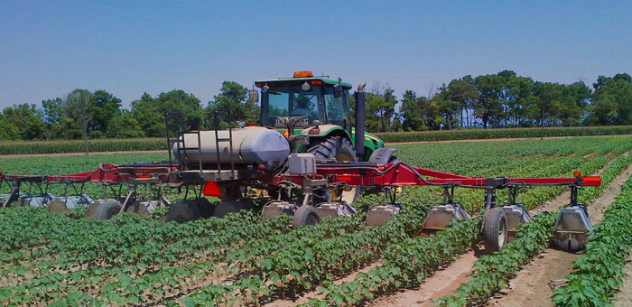 MDA and NDDA issued Section 24c registration for  Liberty application with the Redball  915 Row Crop Hooded Band Sprayer. Label targets waterhemp escapes less than 3-inch tall in sugarbeet.  Research (left) and commercial in cotton (right). Contact Extension or Coops for details.
