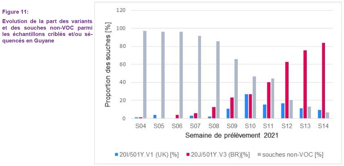 6/20Alors qu'en Guyane, après une période où B.1.1.7 et P.1 ont co-circulé à haut niveau, P.1 a fini par écraser B.1.1.7, peut-être au gré des importations fréquentes de P.1 depuis le Brésil voisin :