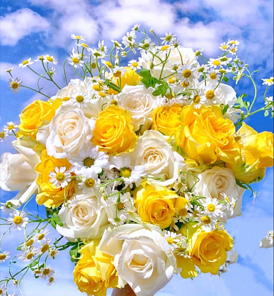 HaroMaron's tweet photo. @Zofia48624468 @GerdaAnnaK1 https://t.co/8lIjIDpReM
