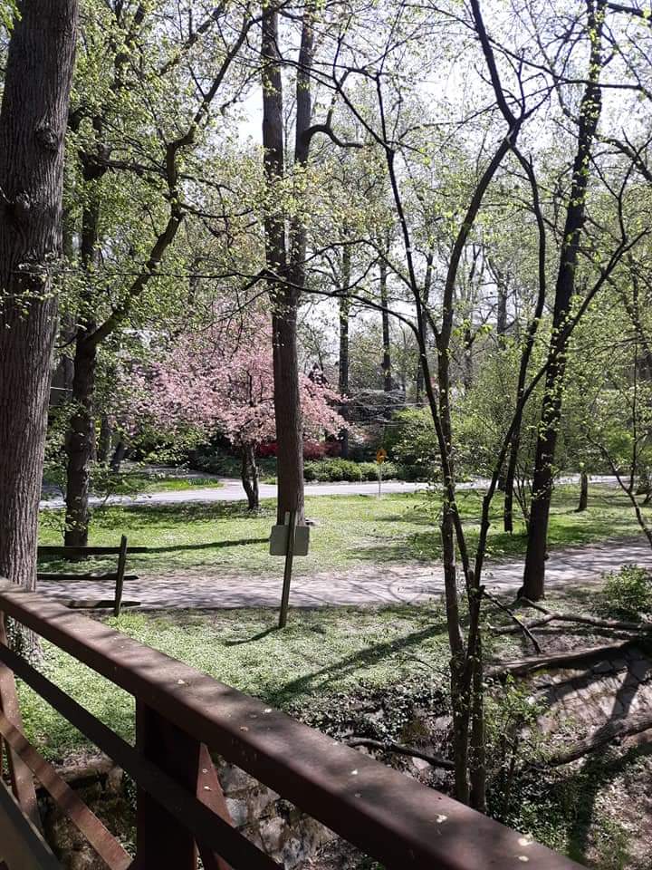 Fifimc's tweet image. 