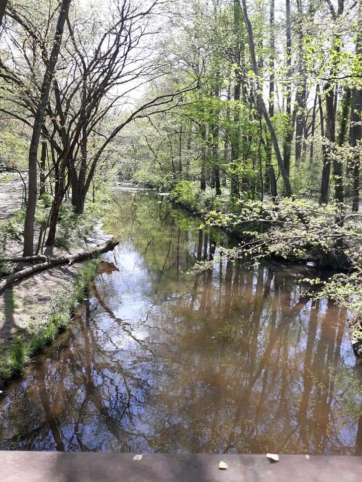 Fifimc's tweet image. Picture of Sligo Creek Silver Spring, Md near my Childhood home.