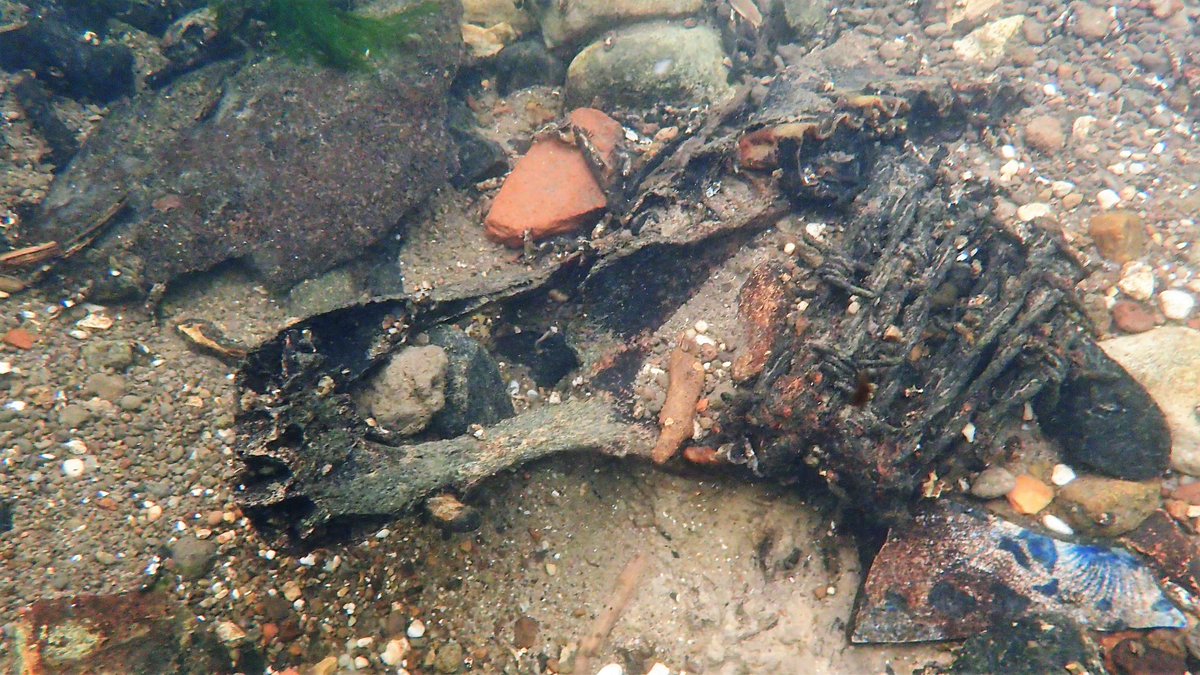 numenini's tweet image. In the #RiverBrett (as in Lee Brook ), a horse skull! Optical illusion that strangled with barbed wire? 
Can anyone date the pottery (Cosford Hall is 17th C)? 
Some freshwater sponges &amp;amp; mussels.
Abundant Caddis Fly larvae of at least 3 species #Hadleigh 6/8