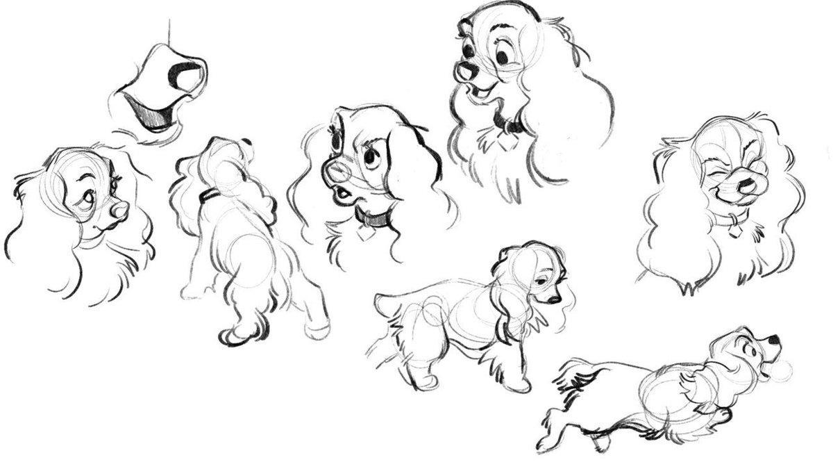 I did a bunch of Lady model sheet studies for that last commission. I love looking at Lady and the Tramp model sheets. ✨ 