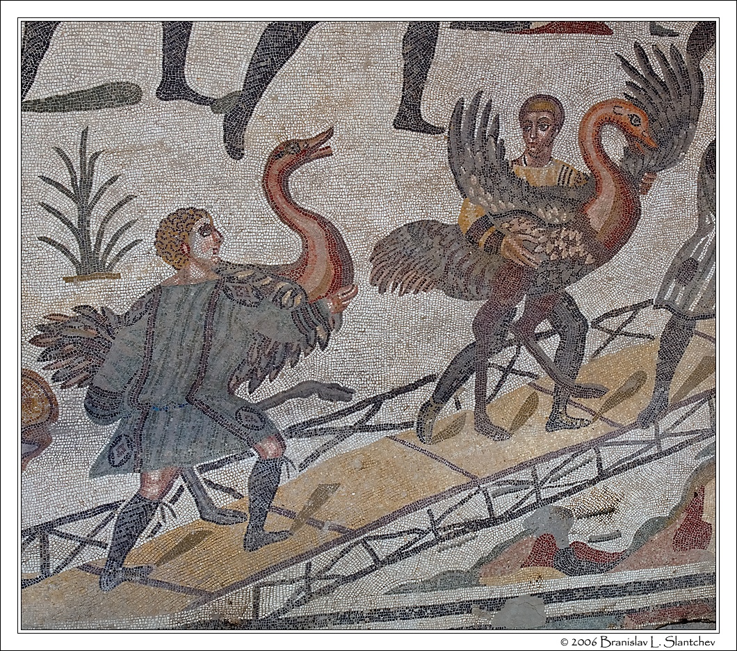 Laura Dern is fantastic in feathers for the  #Oscars  . She's fully channeling this mosaic from the Sicilian Villa di Casale. It features workers unloading ostriches from a boat