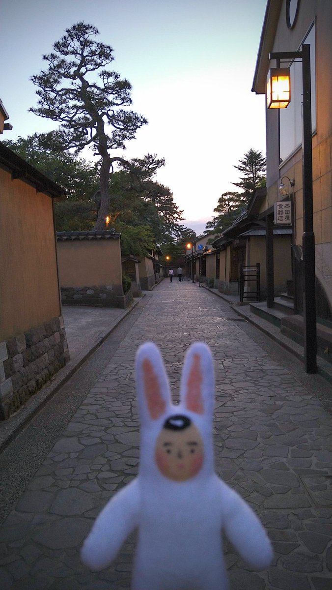 うさぎのさとうくん Hanerusato Twitter