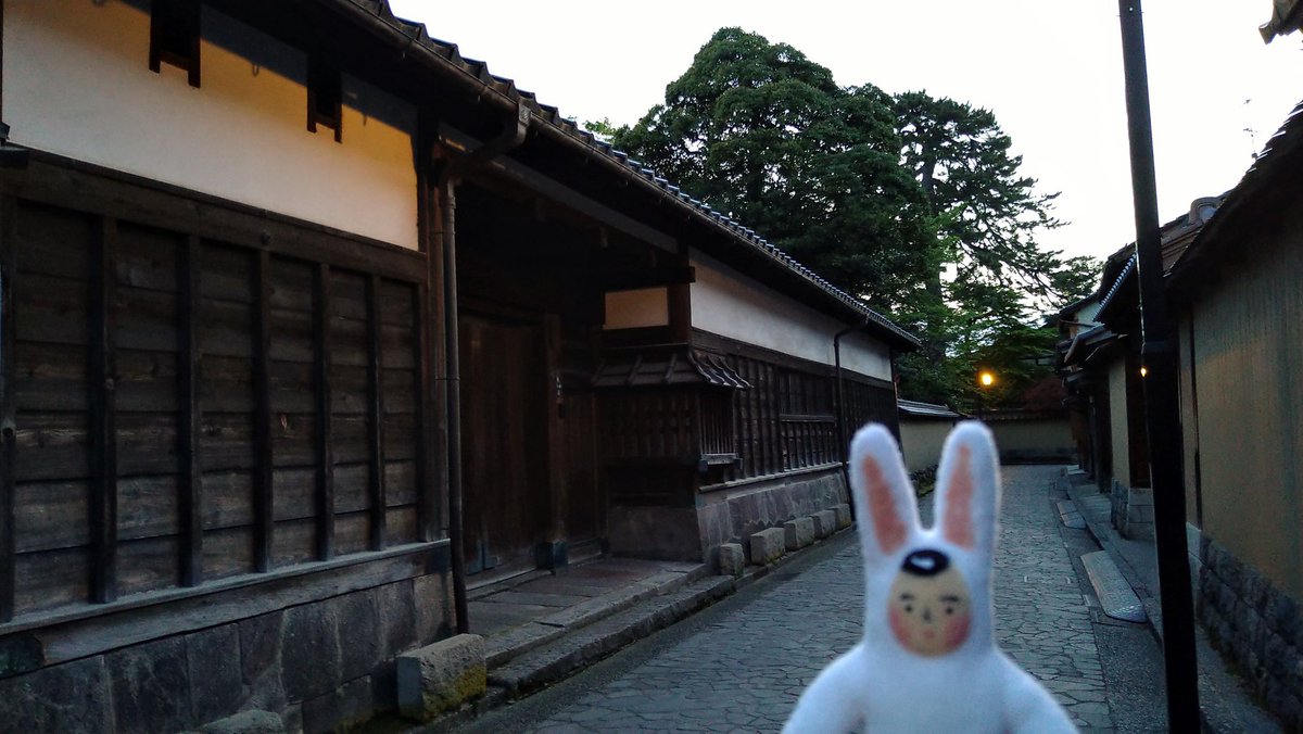 うさぎのさとうくん Hanerusato Twitter