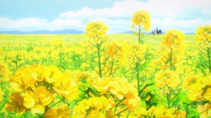 菜の花畑のtwitterイラスト検索結果