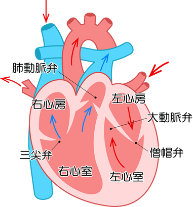 くすぐったいのtwitterイラスト検索結果 古い順 くすぐったいのtwitterイラスト検索結果 古い順