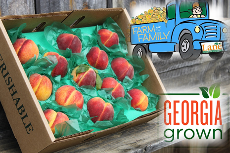 We're now accepting pre-orders for our Sweet #GeorgiaPeaches! 🍑 New Subscription options available, too --> bit.ly/3aglsff Fresh from our farm to your family! Shipping begins early June. #exploregeorgia @GeorgiaGrown