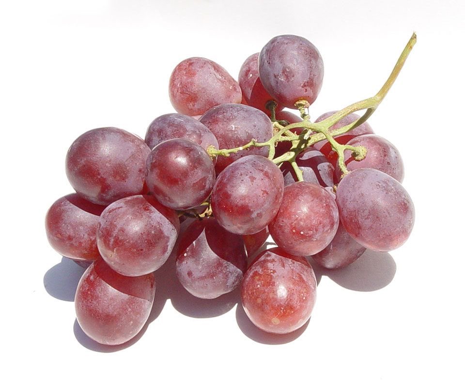 grapes: 62 kcals per cup, really great when i’m craving something sweet, super light and nice as a snack