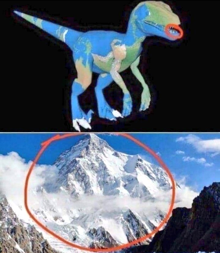 ya me jodería creer que la tierra es redonda