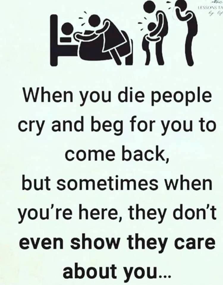 The Real Don - Ultra MAGA lite - @djmeiho63 (@djmeiho63) on Twitter photo 