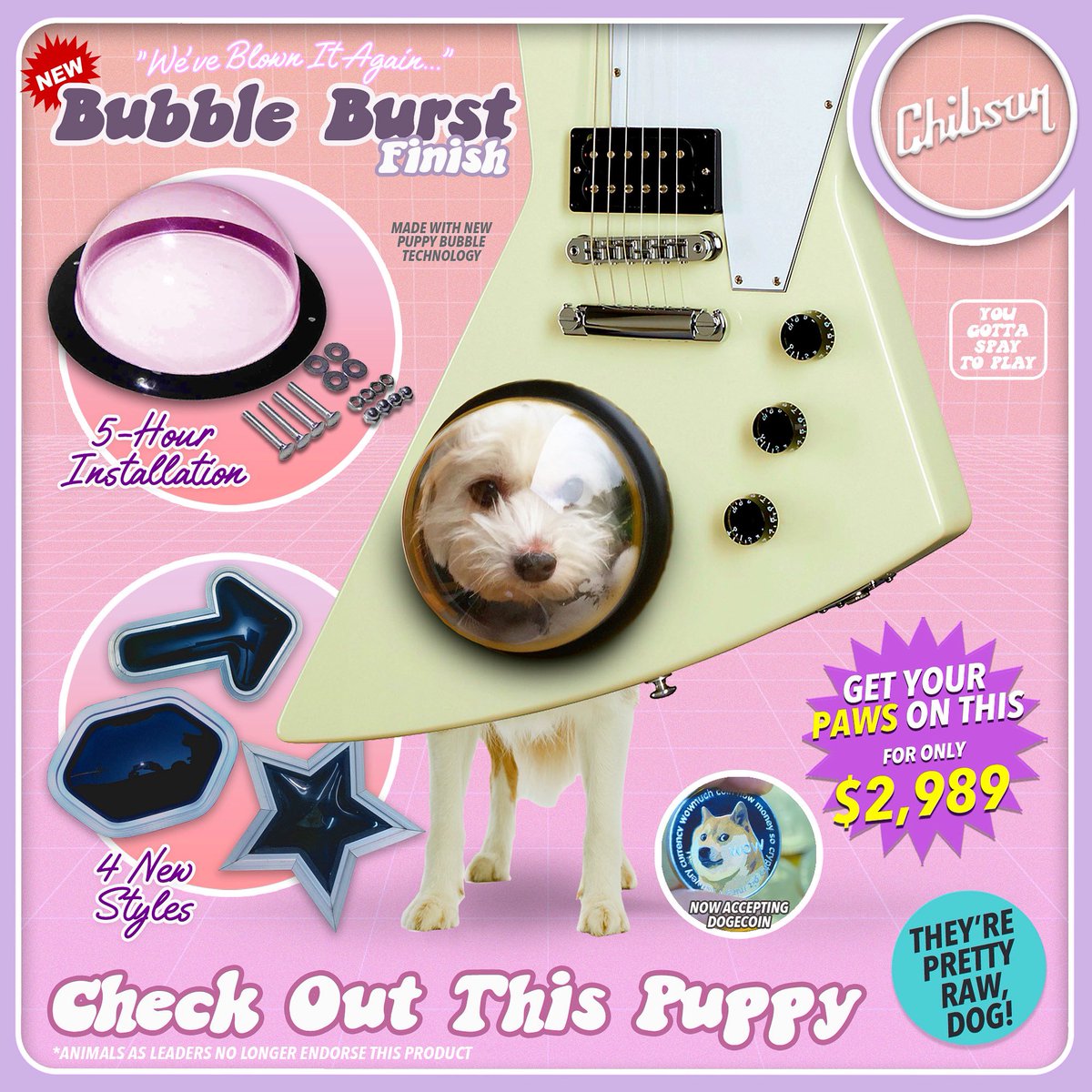 ChibsonUSA's tweet photo. Pet Sounds
#chibson #chibsunday #guitarmemes #guitarjokes #guitarplayer #guitarist #guitarporn #puppy #bubblewindow #porthole #guitarnerd #gearnerd #gearybusey #guitarsofinstagram #guitarsdaily #gearporn #onlyachibsonisgoodenough https://t.co/Hl3TqIeSJi