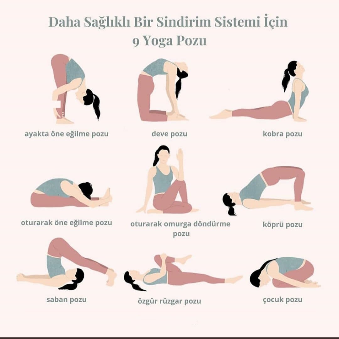 Sîndirim sistemi için 9 yoga pozu 📣

#saglik #fizikselaktivite #egzersiz #sağlıklısindirim #sağliklibirey #beykozüniversitesi #sağlıkrehberi #Spor #fityaşam
