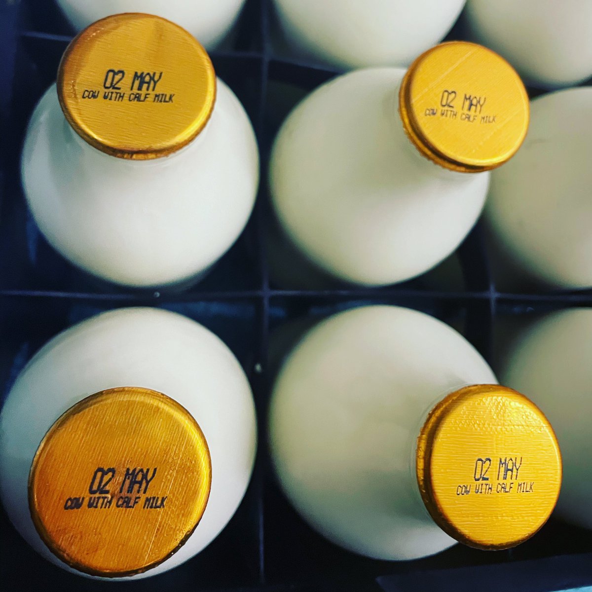 MossgielFarm's tweet photo. COW WITH CALF MILK
.
The alternative, to the alternative
.
#MossgielGold #PastureFarmers #GrassOnly #CowCalfDairy https://t.co/YA9urDK4J9